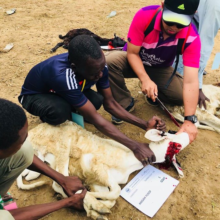 wilayah qurban